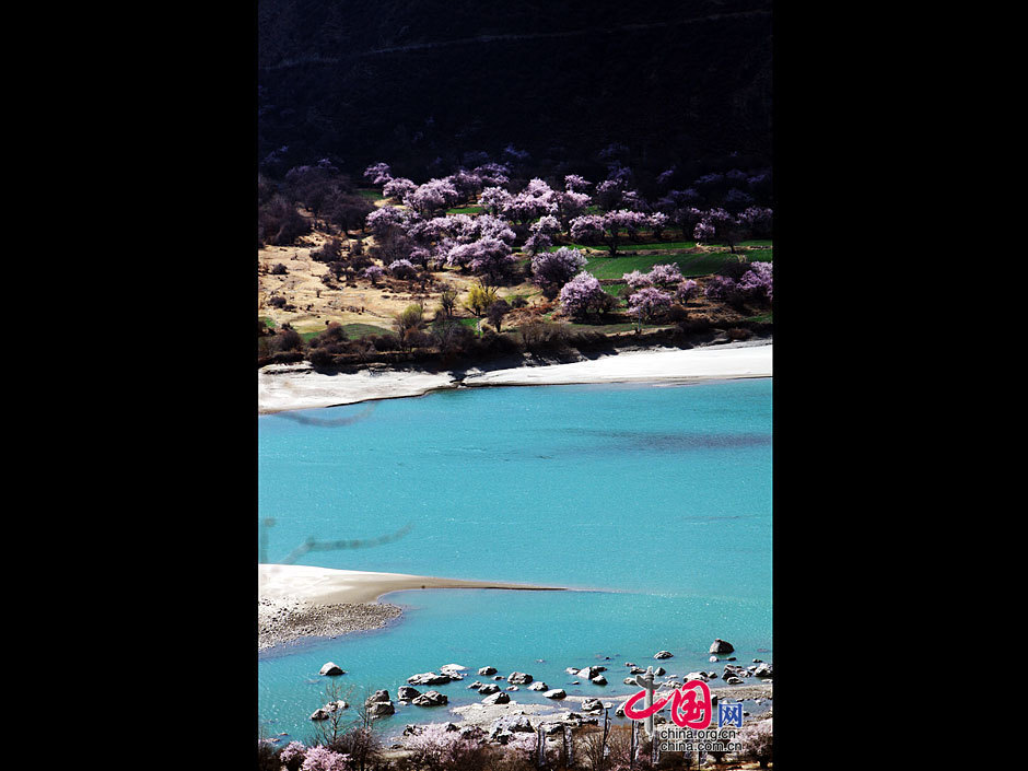 Stretching for more than 2,900 kilometers and as the river at the highest altitude in the world, the Yarlung Zangbo River is located in southwest China's Tibet Autonomous Region. The river is sourced in the Gyaimanezong Glacier in Zongba County, which is in the northern foothills of the Himalayas. It flows from west to east across the southern section of the Tibetan Plateau. [China.org.cn]