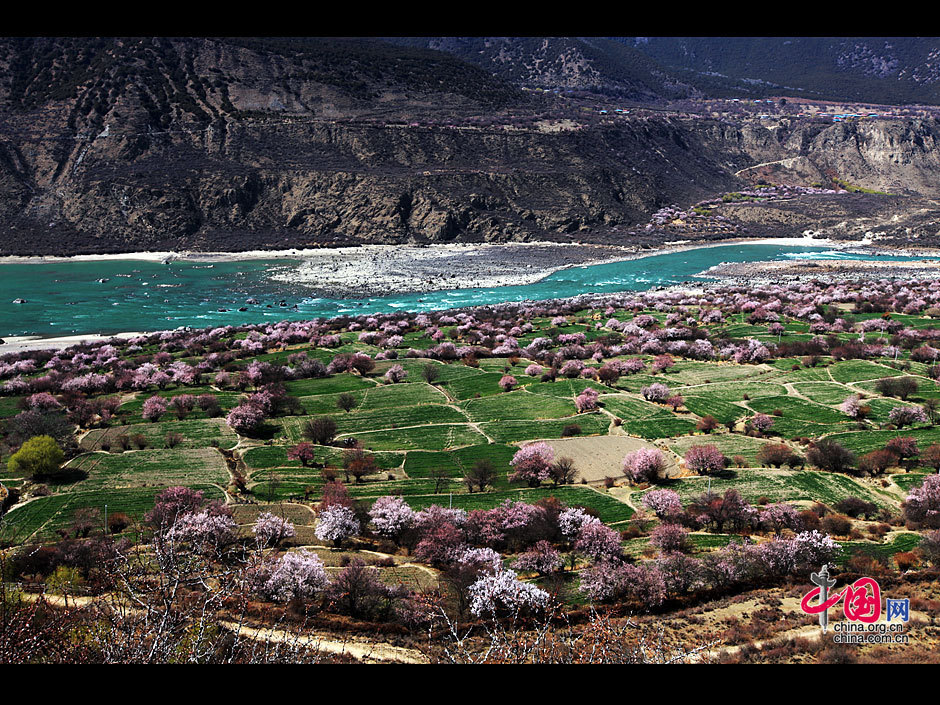 Stretching for more than 2,900 kilometers and as the river at the highest altitude in the world, the Yarlung Zangbo River is located in southwest China's Tibet Autonomous Region. The river is sourced in the Gyaimanezong Glacier in Zongba County, which is in the northern foothills of the Himalayas. It flows from west to east across the southern section of the Tibetan Plateau. [China.org.cn]