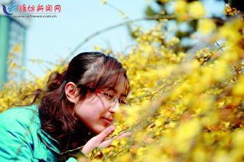 Flowers blossom to welcome Spring in Shandong