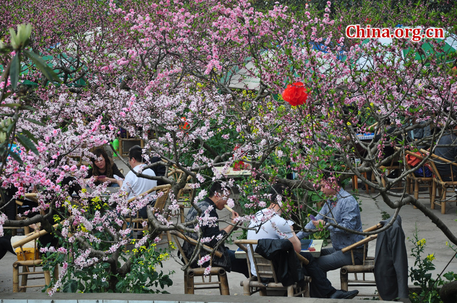 Peach flowers in full blossom are seen at Longquan Scenic Area, Chengdu, capital of China's Sichuan province on Mar. 27, 2012. Located in Long'er Mountain in the eastern part of Chengdu, Longquan Scenic Area includes Huaguo Mountain, Longquan Lake and other scenic spots. It is a picturesque place with lakes, hills, islands and forests. 