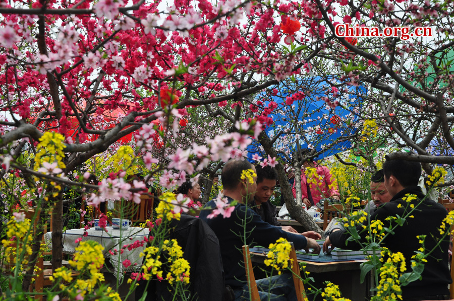 Peach flowers in full blossom are seen at Longquan Scenic Area, Chengdu, capital of China's Sichuan province on Mar. 27, 2012. Located in Long'er Mountain in the eastern part of Chengdu, Longquan Scenic Area includes Huaguo Mountain, Longquan Lake and other scenic spots. It is a picturesque place with lakes, hills, islands and forests. 