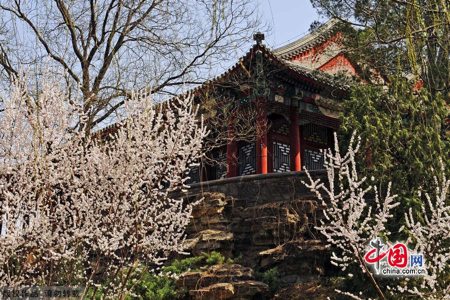 The Summer Palace is one of the finest examples of Garden Architecture in China and located in the northwest suburbs of Beijing. The Summer Palace comprises more than 3,000 structures, including pavilions, towers, bridges, and corridors. Covering 294 hectares, three quarters of the area is water. Its most distinctive features are Longevity Hill and Kunming Lake. [China.org.cn]