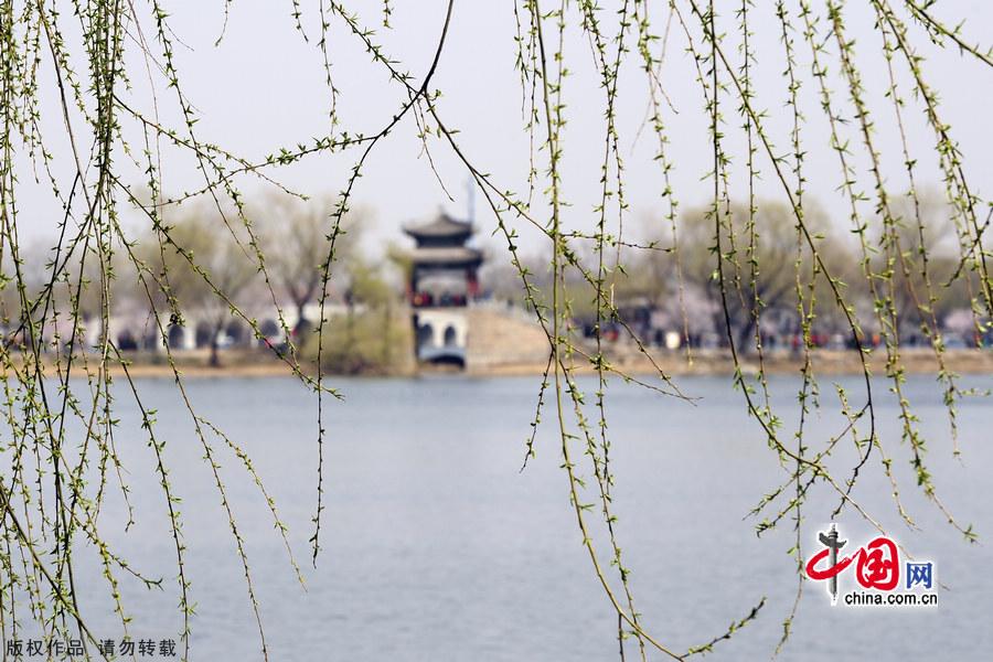 The Summer Palace is one of the finest examples of Garden Architecture in China and located in the northwest suburbs of Beijing. The Summer Palace comprises more than 3,000 structures, including pavilions, towers, bridges, and corridors. Covering 294 hectares, three quarters of the area is water. Its most distinctive features are Longevity Hill and Kunming Lake. [China.org.cn]