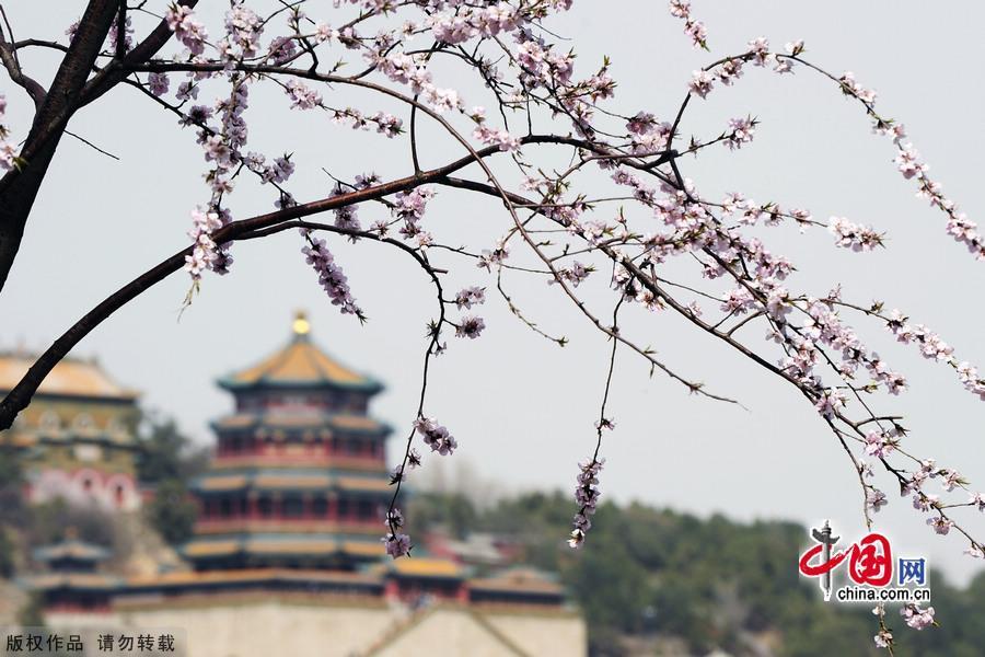 The Summer Palace is one of the finest examples of Garden Architecture in China and located in the northwest suburbs of Beijing. The Summer Palace comprises more than 3,000 structures, including pavilions, towers, bridges, and corridors. Covering 294 hectares, three quarters of the area is water. Its most distinctive features are Longevity Hill and Kunming Lake. [China.org.cn]