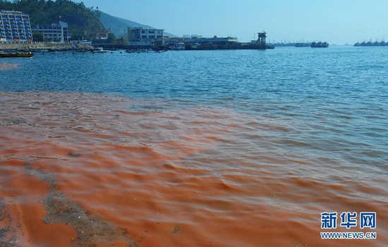 Red tide at Moon Bay in Shenzhen, south China's Guangdong Province, April 10, 2012. The allegedly nontoxic algae can create white glow at night. (Xinhua Photo)