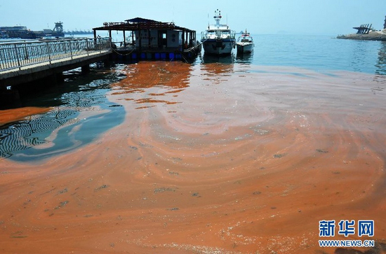 Red tide at Moon Bay in Shenzhen, south China's Guangdong Province, April 10, 2012. The allegedly nontoxic algae can create white glow at night. (Xinhua Photo)