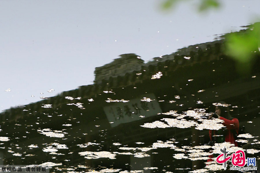 Photo taken on April 7, 2012 shows cherry blossoms on the Yuantouzhu island, a tourist resort of Taihu Lake, China's second largest fresh water lake, in Wuxi, east China's Jiangsu Province. [China.org.cn]