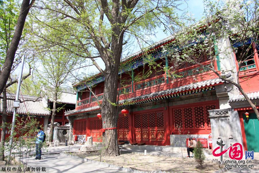 Situated south of Jiaozi Alley outside Xuanwumen, Fayuan Temple is the oldest ancient Buddhist temple in Beijing. It also houses the China Buddhist Association, the China Buddhism Institution and the China Buddhism Library and Relic Center, thus serving as an important venue for nurturing young monks and Buddhist research. [China.org.cn]