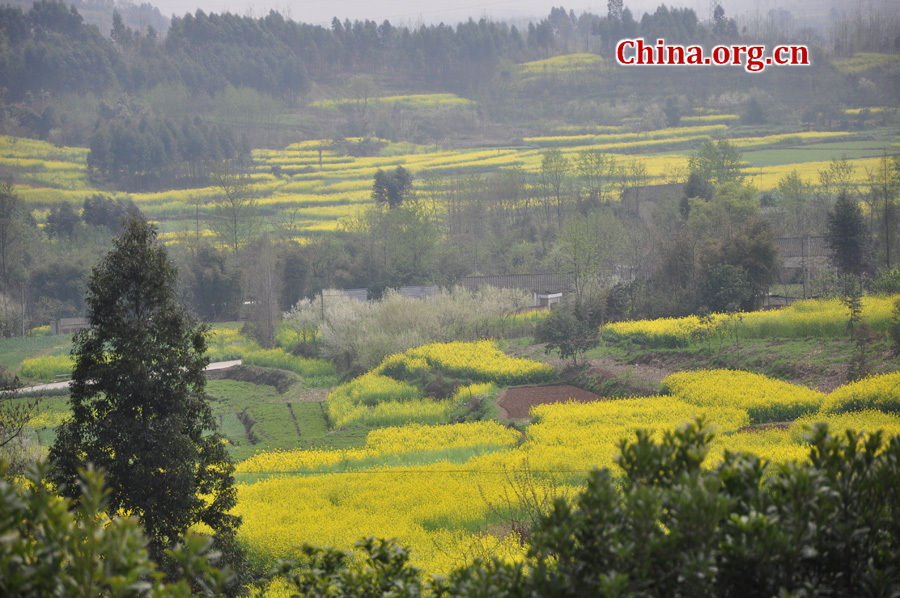 Photo shows the beautiful spring scenery in Gexian Mountain, Pengzhou City, China's Sichuan Province.[China.org.cn/by Chen Xiangzhao]