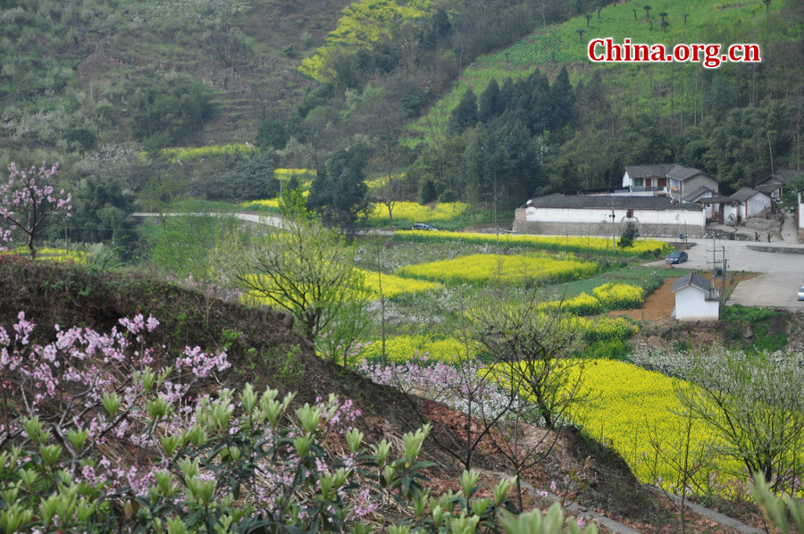 Photo shows the beautiful spring scenery in Gexian Mountain, Pengzhou City, China's Sichuan Province.[China.org.cn/by Chen Xiangzhao]