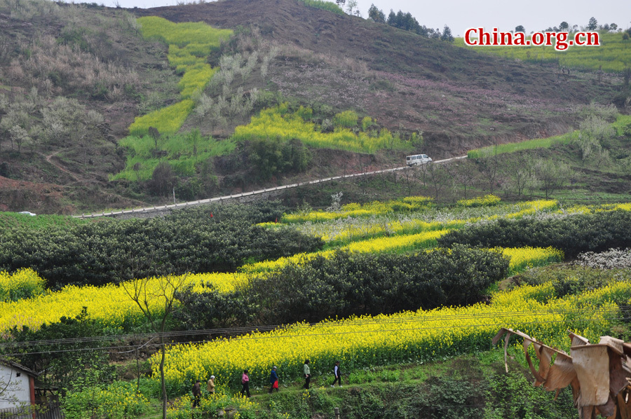 Photo shows the beautiful spring scenery in Gexian Mountain, Pengzhou City, China's Sichuan Province.[China.org.cn/by Chen Xiangzhao]