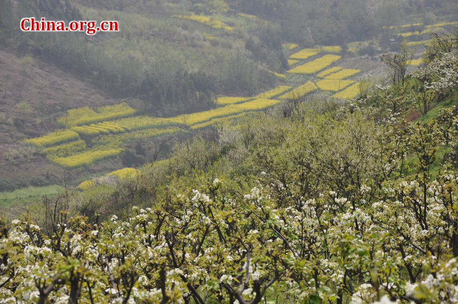 Photo shows the beautiful spring scenery in Gexian Mountain, Pengzhou City, China's Sichuan Province.[China.org.cn/by Chen Xiangzhao]