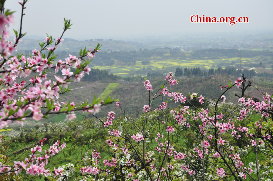 Photo shows the beautiful spring scenery in Gexian Mountain, Pengzhou City, China's Sichuan Province.[China.org.cn/by Chen Xiangzhao]