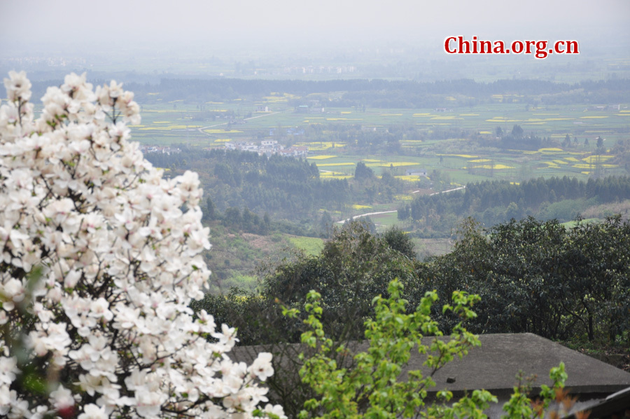 Photo shows the beautiful spring scenery in Gexian Mountain, Pengzhou City, China's Sichuan Province.[China.org.cn/by Chen Xiangzhao]