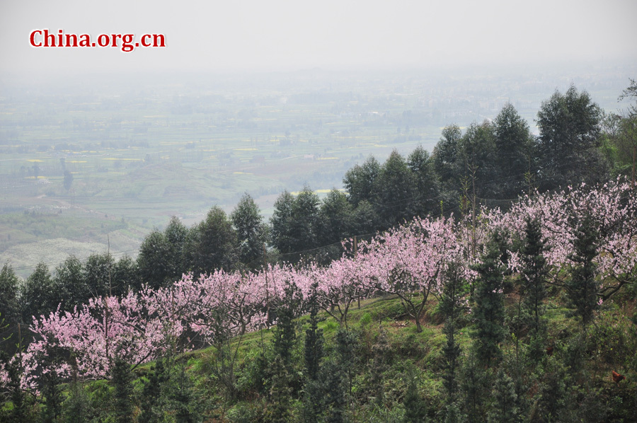 Photo shows the beautiful spring scenery in Gexian Mountain, Pengzhou City, China's Sichuan Province.[China.org.cn/by Chen Xiangzhao]