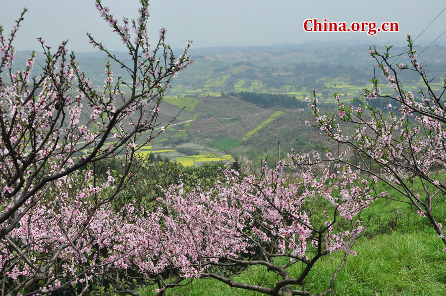 Photo shows the beautiful spring scenery in Gexian Mountain, Pengzhou City, China's Sichuan Province.[China.org.cn/by Chen Xiangzhao]