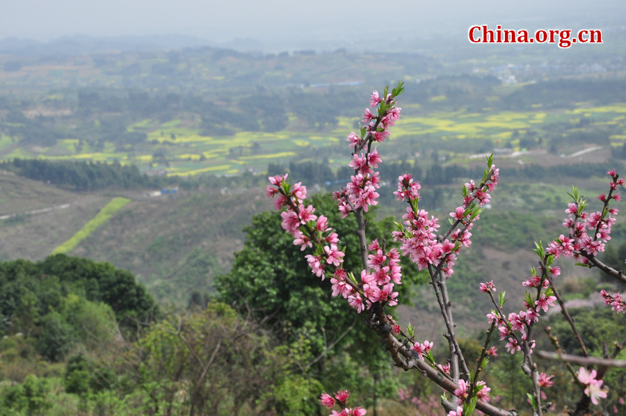 Photo shows the beautiful spring scenery in Gexian Mountain, Pengzhou City, China's Sichuan Province.[China.org.cn/by Chen Xiangzhao]