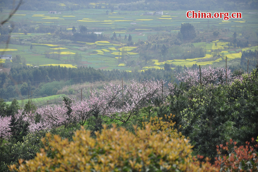 Photo shows the beautiful spring scenery in Gexian Mountain, Pengzhou City, China's Sichuan Province.[China.org.cn/by Chen Xiangzhao]