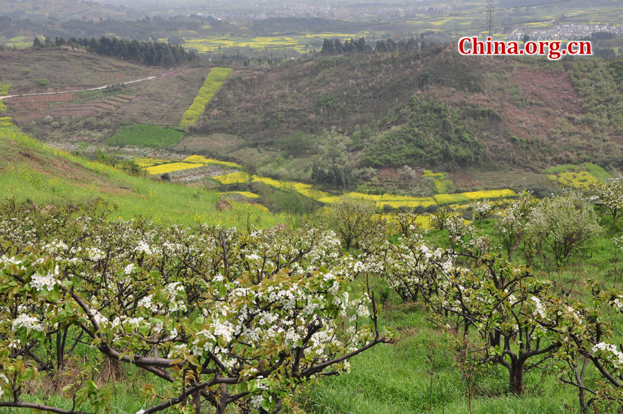 Photo shows the beautiful spring scenery in Gexian Mountain, Pengzhou City, China's Sichuan Province.[China.org.cn/by Chen Xiangzhao]