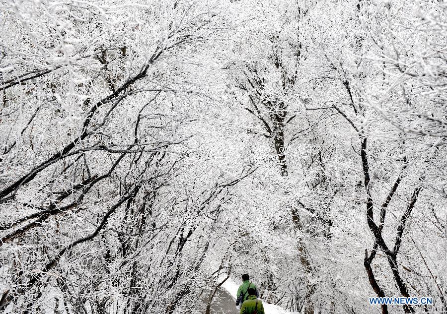 Photo taken on April 12, 2012 shows the snow scenery at Huashan Mountain Scenic Area in Xi'an, capital of northwest China's Shaanxi Province. A snow hit Mt. Huashan on Thursday early morning, bringing charming sceneries to the tourist site. [Xinhua/Tao Ming]