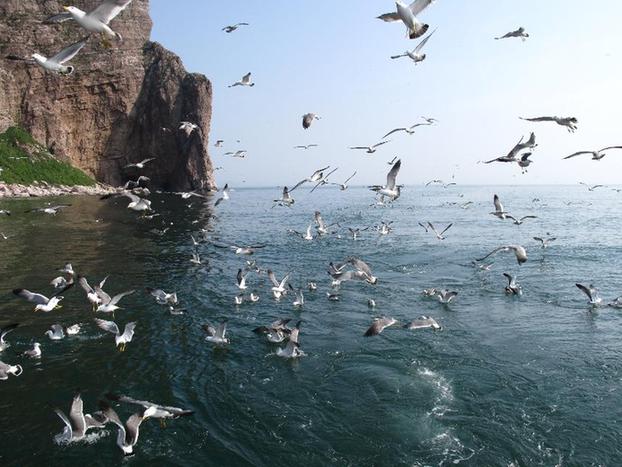 Liugong Island in Weihai