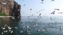 Liugong Island in Weihai