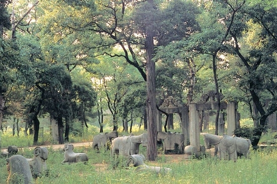 The Confucian Cemetery, occupying more than 200 hectares, has served as the family graveyard of Confucius and his descendants for more than 2,300 years. 
