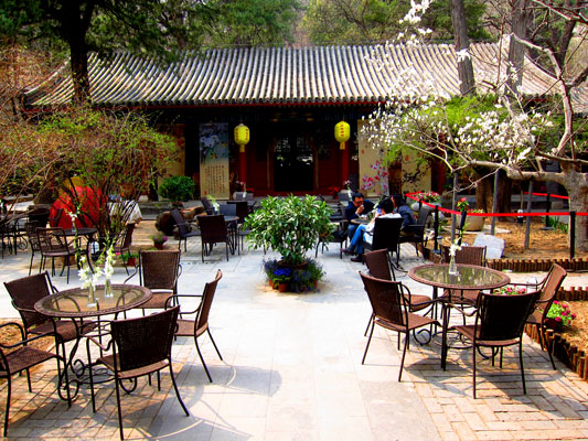 The comfortable teahouse courtyard at Dajue Temple. Photo taken by William Wang for CRI, April 2012. 