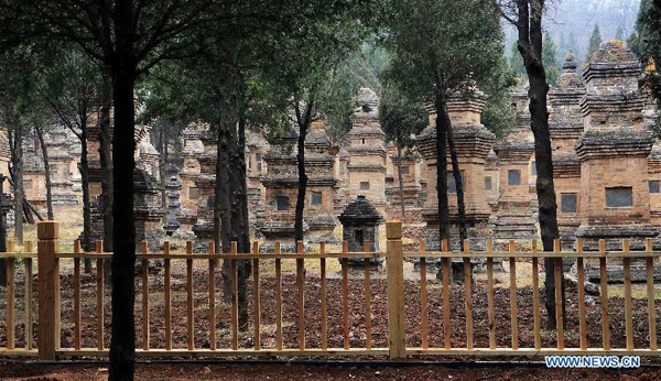 Photo taken on March 15, 2012 shows the fences built to protect the Buddhist pagodas in the famous Shaolin Temple in Dengfeng city, central China's Henan province.[Photo/Xinhua] 