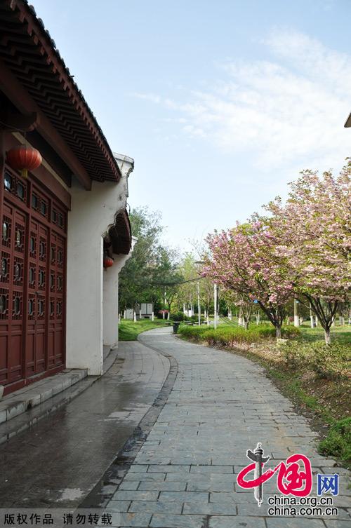 Photo shows the beautiful spring scenery in Yuehu Park, the northwest of Hanyang district, Wuhan. [China.org.cn]