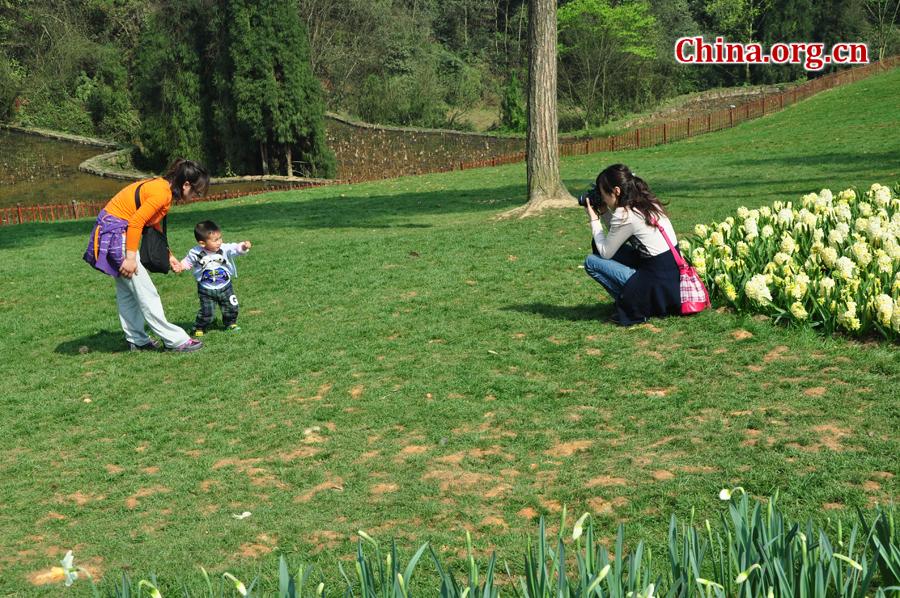 Blooming tulips are seen in Shixianghu Ecological Scenic Resort, Pujiang County in southwest China's Sichuan Province April 2, 2012. [China.org.cn/by Chen Xiangzhao]