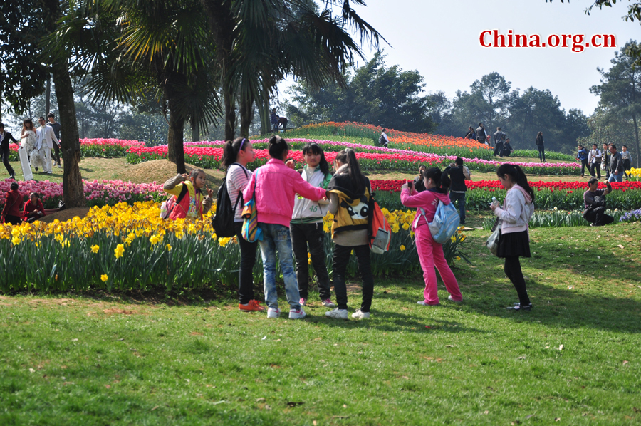 Blooming tulips are seen in Shixianghu Ecological Scenic Resort, Pujiang County in southwest China's Sichuan Province April 2, 2012. [China.org.cn/by Chen Xiangzhao]