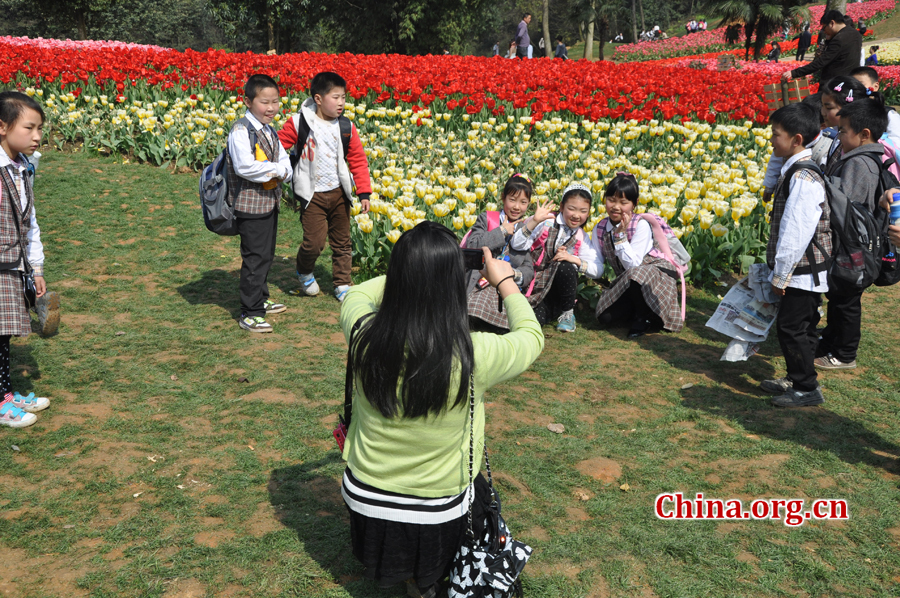 Blooming tulips are seen in Shixianghu Ecological Scenic Resort, Pujiang County in southwest China's Sichuan Province April 2, 2012. [China.org.cn/by Chen Xiangzhao]