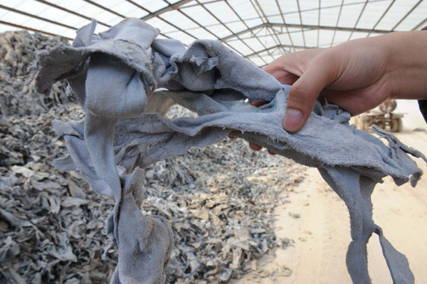Huge piles of substandard leather scraps at the warehouse of Xueyang Gelatin and Glair Factory in Hengshui, Hebei province, were used to make gelatin that was sold to capsule makers. [Xinhua]
