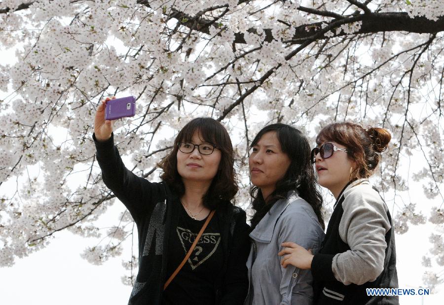 South Korean Women takes photos of the cherry blossoms at Yeouido near the National Assembly in Seoul, South Korea, on April 20, 2012. (Xinhua/Park Jin hee) 