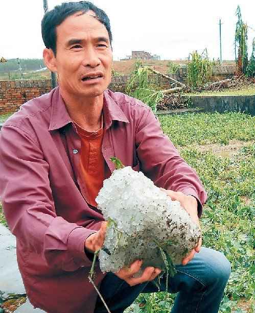 A villager in Wucun, Guangdong Province, holds a big hailstone on April 18. Hailstorms had stricken 270 county-level areas across 24 provincial regions since March this year. [Yangcheng Evening News]