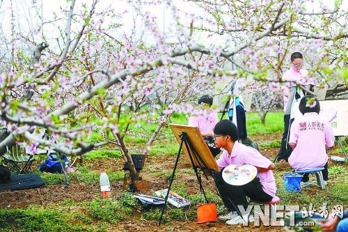 Students attend a drawing lesson in the peach blossom fields of Pinggu. [Photo: YNET.com]