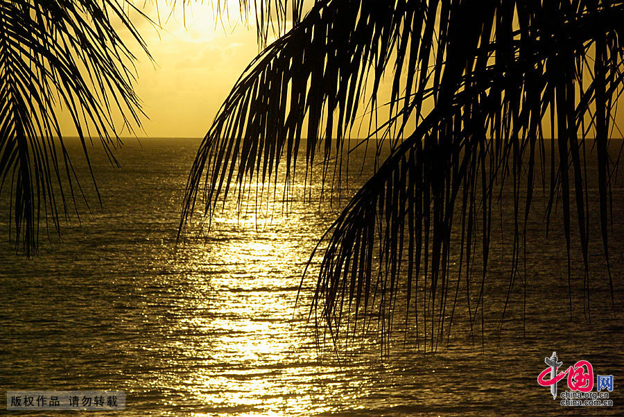 Saipan is located between the Pacific and Philippine Sea. Standing on the highest peak on the island and overlooking the scenery of the super island, by the refraction of the sun, one sees that the sea has light green, dark green, dark blue, blue ink of different colors. That unfathomable blue ink is the world's deepest trench — more than 10,000 meters deep Mariana Trench. Not to be missed on the island is diving.