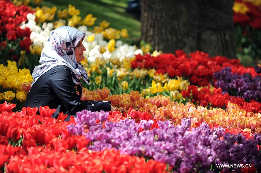 A lady takes photos among tulips at Emirgan Park in Istanbul, Turkey, on April 25, 2012. Over 11.6 million tulips blossom in the park in April, attracting many citizens and tourists. (Xinhua/Ma Yan) 