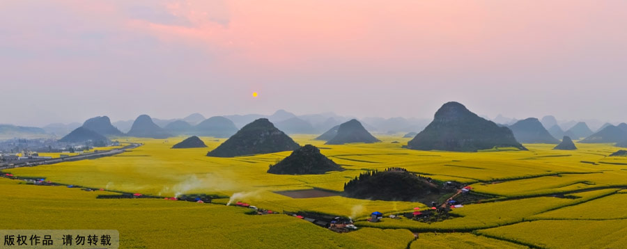 The small county of Luoping lies in the relatively underdeveloped eastern part of the Yunnan Province, neighboring Guizhou and Guangxi provinces. It sits 220 kilometers east of the capital Kunming. Every spring, the entire county will transform into an ocean of canola flowers, attracting thousands of travelers and photographers to enjoy the spectacle.