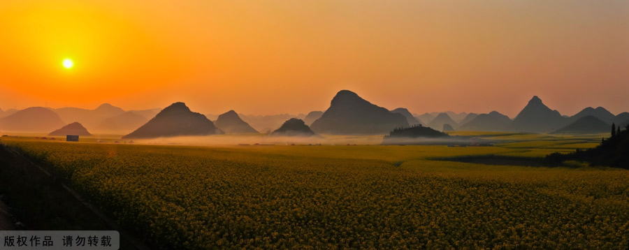 The small county of Luoping lies in the relatively underdeveloped eastern part of the Yunnan Province, neighboring Guizhou and Guangxi provinces. It sits 220 kilometers east of the capital Kunming. Every spring, the entire county will transform into an ocean of canola flowers, attracting thousands of travelers and photographers to enjoy the spectacle.