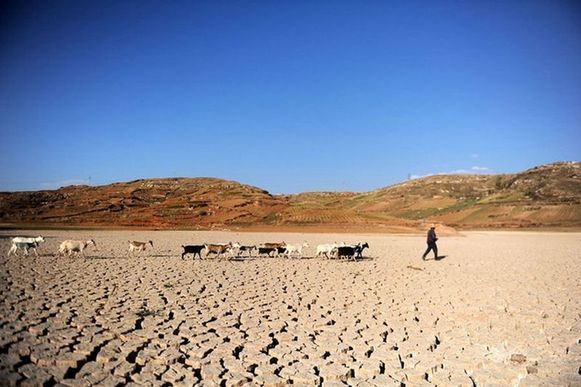 Severe drought has lingered in Yunnan for 3 years. [File photo]