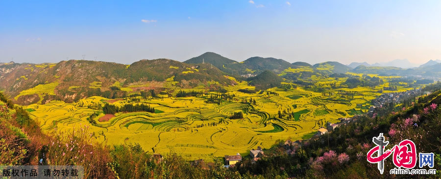 The small county of Luoping lies in the relatively underdeveloped eastern part of the Yunnan Province, neighboring Guizhou and Guangxi provinces. It sits 220 kilometers east of the capital Kunming. Every spring, the entire county will transform into an ocean of canola flowers, attracting thousands of travelers and photographers to enjoy the spectacle. [China.org.cn]