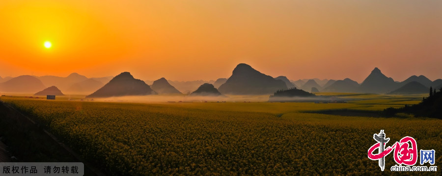 The small county of Luoping lies in the relatively underdeveloped eastern part of the Yunnan Province, neighboring Guizhou and Guangxi provinces. It sits 220 kilometers east of the capital Kunming. Every spring, the entire county will transform into an ocean of canola flowers, attracting thousands of travelers and photographers to enjoy the spectacle. [China.org.cn]