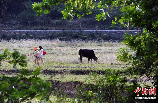 Photo shows tourists sightseeing in the village. (CNS Photo/Ren Dong)