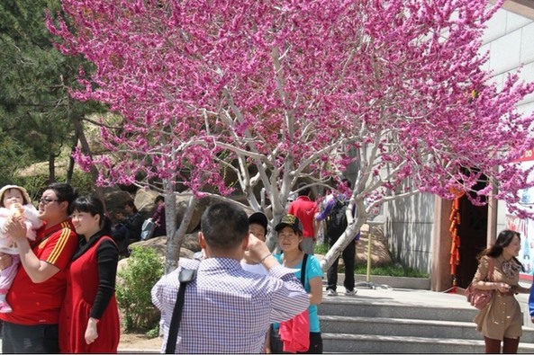 Good many people spend Labor Day holiday in Weihai