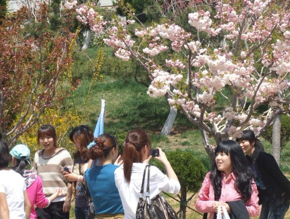 Good many people spend Labor Day holiday in Weihai