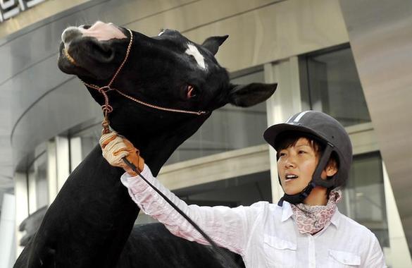 Akhal-Teke horses appear in Jinan