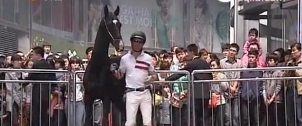 Akhal-Teke horses appear in Jinan