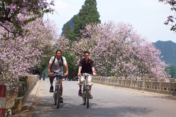Cycling along the country roads. [Photo/chinadaily.com.cn] 